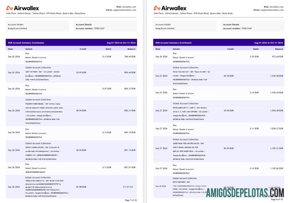 Extrato de conta limitado da Hong Kong Airwallex, 18 páginas 4 exemplo